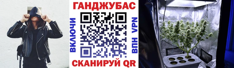 Купить  Никольск  Бошки Шишки сатива 